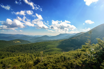 View while climbing Mount Hoverla. View of the mountain, forests and clouds. Ukrainian Carpathians. Mountain ranges of Montenegro