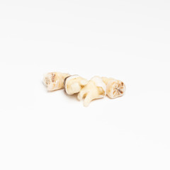 pulled out bad molars human teeth close up on white background
