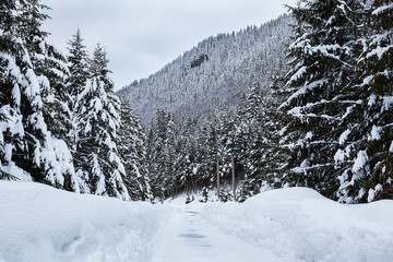 Beautiful winter landscape with mixed snow. Nature winter background.