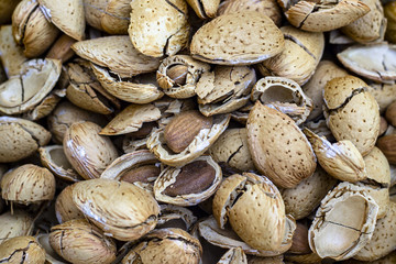Close-up shoot of cracked tasty fresh almonds