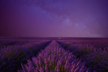 Selbstklebende Fototapete Land Lavendelfeld nachts unter dem Sommernachthimmel der Milchstraße Provence France