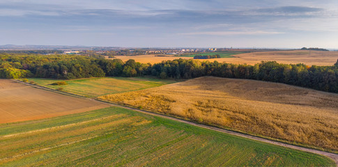 Autumnal fields and forests in the setting sun.