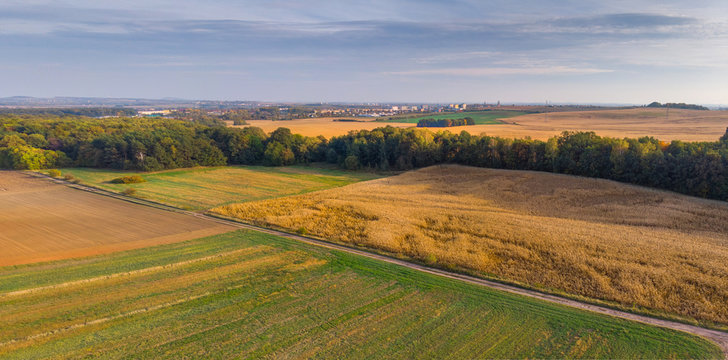 Autumnal fields and forests in the setting sun. © Arkadiusz Fajer