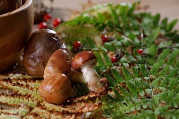 Still life with autumn mushrooms on a wooden background.