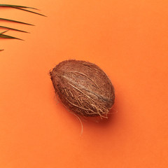 Whole tropical coconut and palm leaf on an orange background with space for text. Flat lay