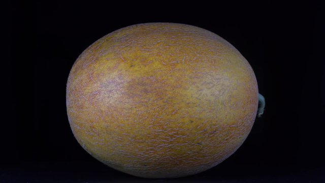 Yellow melon on a black background, close up. Rotates yellow melon, macro