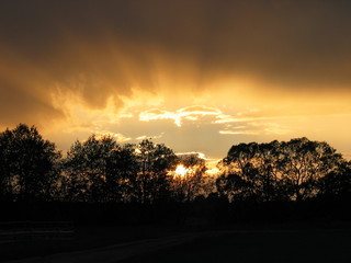 Obraz premium The Blazing Sunset