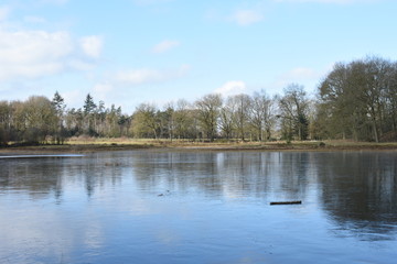 strak ijs op een vennetje in de winter in de Kruisbergse bossen