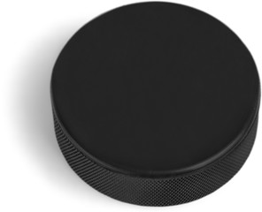 Hockey Puck