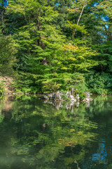 Hisagoike pond at Kenrokuen Garden. Kanazawa City, Ishikawa prefecture, Japan