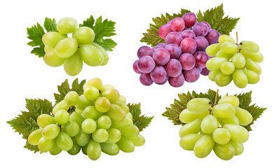 Fresh grapes isolated on white background with clipping pass