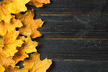 autumn leaf on wood black background