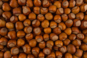 Ripe hazelnuts background. Hazelnut. Nuts in boxes. Ripe brown nuts
