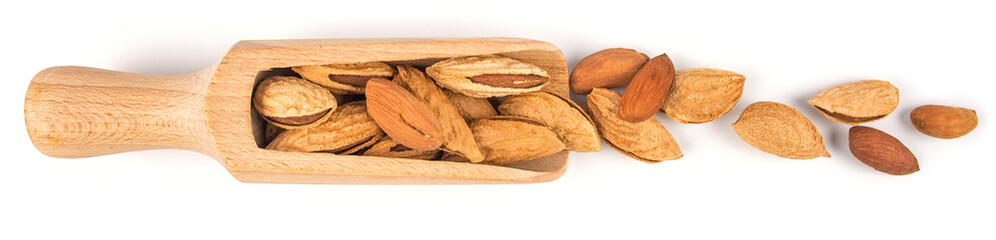 Wooden scoop full of almonds in shell isolated on white background