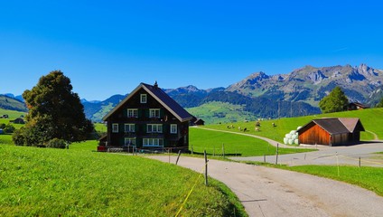 Fototapeta premium der weg ist das ziel