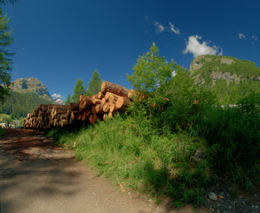 Logs stacked by roadside in Splügen, Swiss Alps