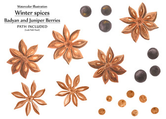 Winter spices watercolor set