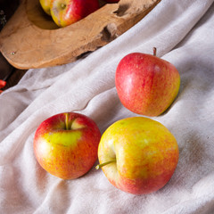 Malus sylvestris, the tasty European crab apple,