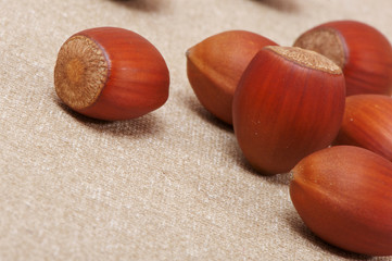 Forest nuts on burlap