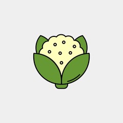 Cauliflower flat vector icon