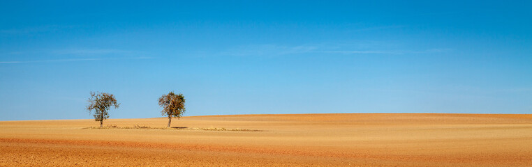 Trockenheit Klimawandel Sommer 2018 banner header symbolbild konzept