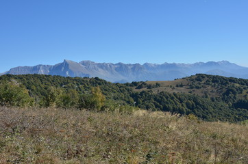 Fototapeta na wymiar montagna friulana