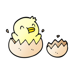 cute cartoon doodle chick