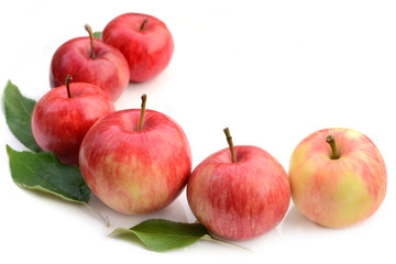 Row of red apples on white background.
