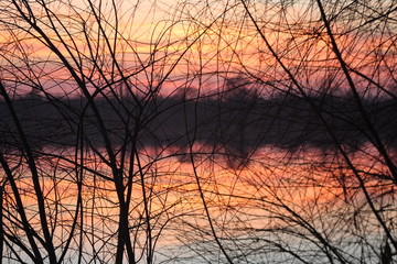 Tree branches against the sunset on the river