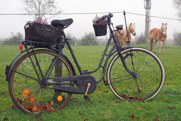 Altes Fahrrad an einer Pferdekoppel