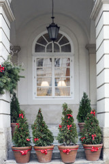 Fototapeta na wymiar Decorated Christmas trees in pots near house
