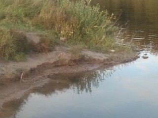the Bank of the river 