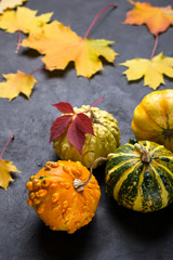 Composition of a different varieties of mini pumpkins and autumn colorful  leafs on dark concrete background