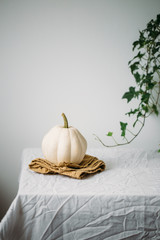 Autumn background with white pumpkin