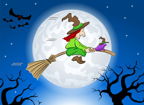witch and her toad flying on a broom