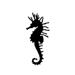 Vector illustration of black seahorse silhouette. Hand drawing seahorse silhouette