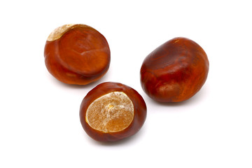 ripe chestnut close up, isolated