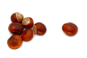 ripe chestnut close up, isolated