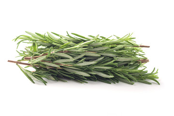 Fresh rosemary bunch isolated on white background