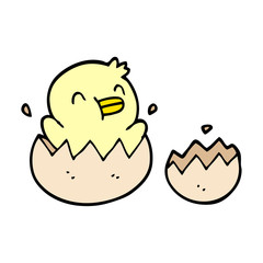 cute cartoon doodle chick