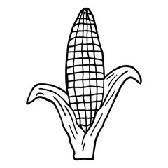 line drawing cartoon corn on cob
