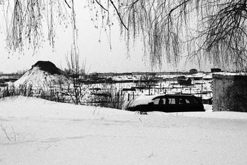 winter in the park