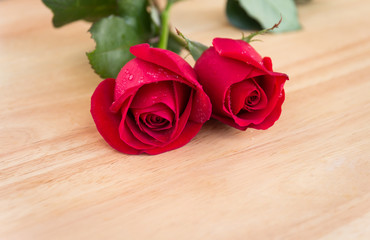 Beautiful Red Roses on Wooden Desk