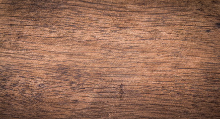 Texture of wood background