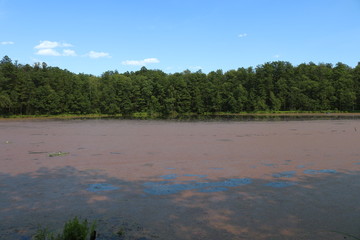 landscape with river