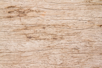 Naklejka na ściany i meble Texture of wood background