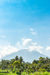 Obraz premium Beautiful green landscape of mount volcano Agung on Bali island.