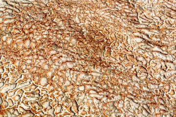 The surface of the limestone in the form of intricate patterns. The texture is made by flowing water for many years in Turkish Pamukalle. An interesting natural phenomenon.