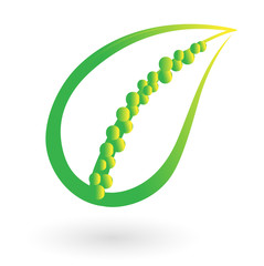 Vector with leaves in the middle.