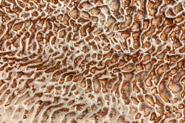 The surface of the limestone in the form of intricate patterns. The texture is made by flowing water for many years in Turkish Pamukalle. An interesting natural phenomenon.